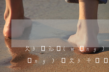 欠3萬元網(wǎng)貸會起訴嗎(網(wǎng)貸欠3千塊錢能起訴嗎?)
