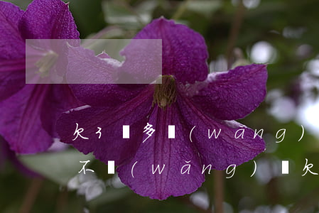 欠3萬多網(wǎng)貸還能首付辦車貸不(網(wǎng)貸欠三萬可以貸款買車嗎)