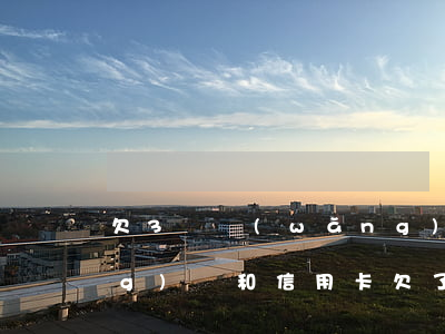 欠3萬網(wǎng)貸信用卡(網(wǎng)貸和信用卡欠了十幾萬,應(yīng)該怎么辦?)