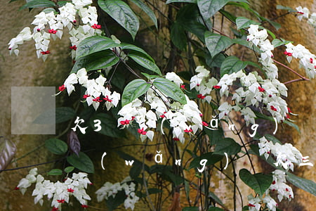 欠3萬網(wǎng)貸可以在銀行貸款嗎(網(wǎng)貸欠三萬影響銀行貸款嗎)
