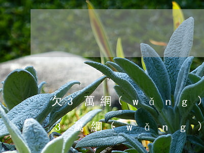 欠3萬網(wǎng)貸可以貸款買車嗎(欠3萬網(wǎng)貸可以貸款買車嗎)