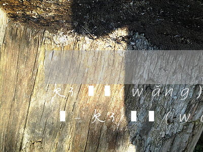 欠3萬網(wǎng)貸無能為力還了怎么辦-欠3萬網(wǎng)貸無能為力還了怎么辦呢