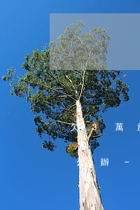 欠3萬網(wǎng)貸老婆每天提離婚怎么辦-網(wǎng)貸3萬老婆會不會離婚