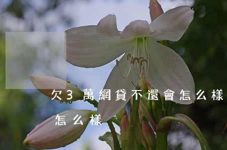 欠3萬網貸不還會怎么樣(欠3萬網貸不還會怎么樣)