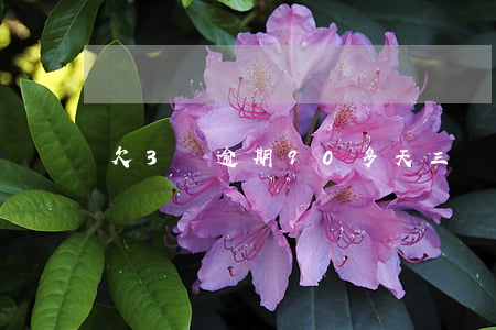 欠3萬逾期90多天(三萬塊錢逾期)