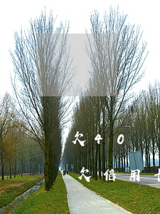 欠40幾萬網(wǎng)貸信用卡怎么還(欠信用卡網(wǎng)貸幾十萬)