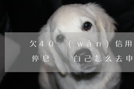 欠40萬(wàn)信用卡停息掛賬條件-停息掛賬自己怎么去申請(qǐng)
