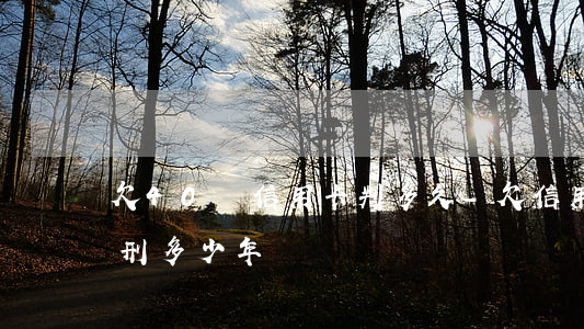 欠40萬信用卡判多久-欠信用卡40萬判刑多少年