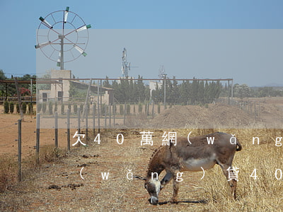 欠40萬網(wǎng)貸不還怎么辦(欠網(wǎng)貸40萬還不上怎么辦)