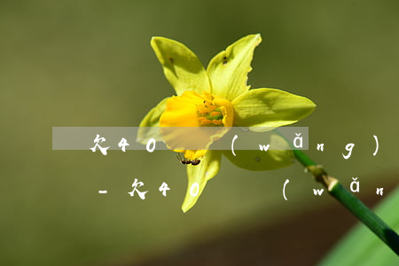 欠40萬網(wǎng)貸無力償還怎么辦-欠40萬網(wǎng)貸無力償還怎么辦理