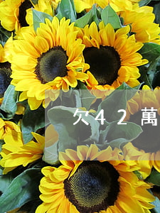 欠42萬信用卡(欠42萬信用卡)