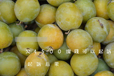 欠4500塊錢可以起訴嗎(欠5000塊錢起訴后果)