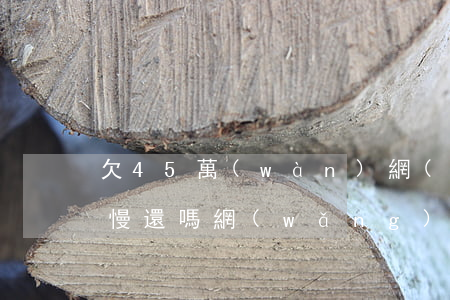 欠45萬(wàn)網(wǎng)貸可以慢還嗎(網(wǎng)貸欠了50萬(wàn))