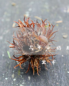 欠4w信用卡怎么還-欠信用卡4萬還不上會坐牢嗎