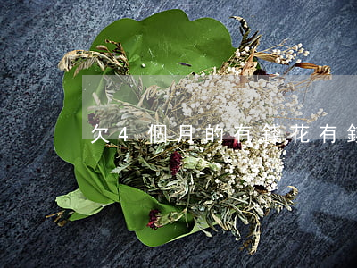 欠4個月的有錢花(有錢花逾期四個月)