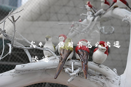 欠4萬信用卡怎么快速還 欠4萬信用卡怎么快速還