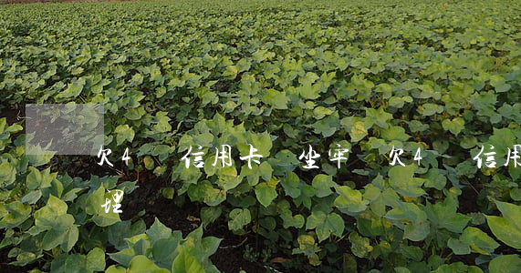 欠4萬信用卡會坐牢嗎（欠4萬信用卡怎么處理）
