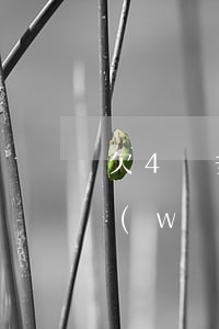 欠4萬多的網(wǎng)貸還不上了(欠網(wǎng)貸四萬多還不起怎么辦)