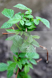 欠4萬網(wǎng)貸不能接了嗎(網(wǎng)貸欠了四萬多)