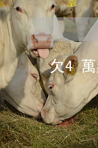 欠4萬網(wǎng)貸怎么跟家里說