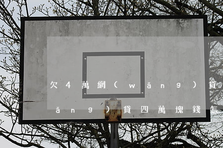 欠4萬網(wǎng)貸會被起訴(欠網(wǎng)貸四萬塊錢怎么辦)
