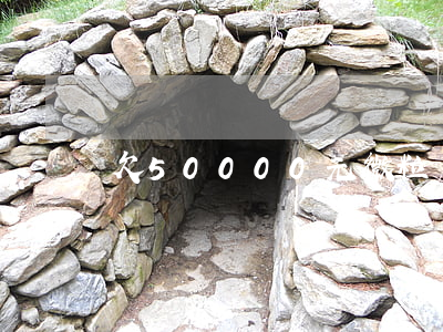 欠50000元微粒貸(微粒貸350000)