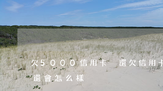 欠5000信用卡沒還(欠信用卡5000不還會怎么樣)