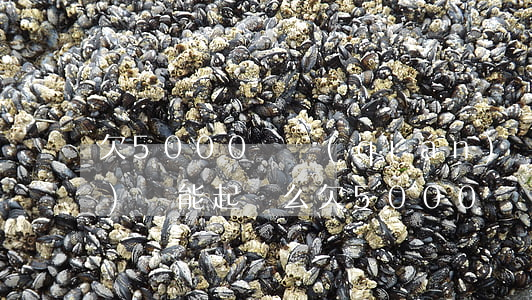 欠5000塊錢(qián)網(wǎng)貸能起訴么(欠5000塊錢(qián)網(wǎng)貸能起訴么)