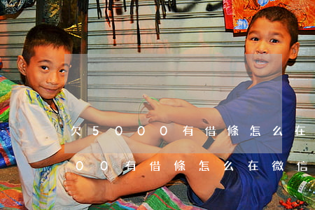 欠5000有借條怎么在微信起訴-欠5000有借條怎么在微信起訴對(duì)方
