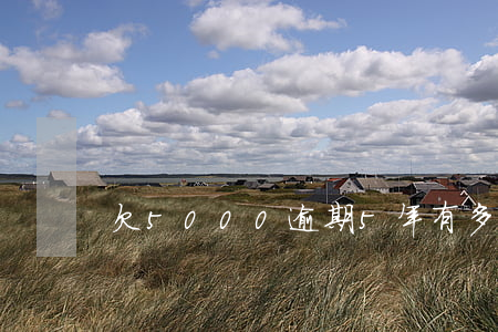 欠5000逾期5年有多少錢
