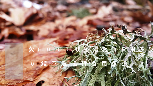 欠5000錢不還起訴費用多少(欠20000錢不還起訴費用多少)
