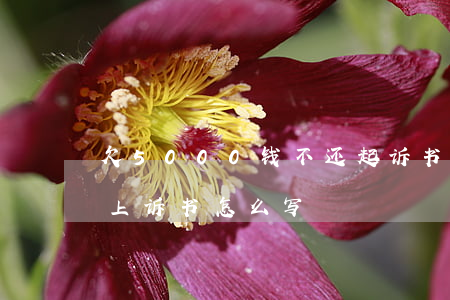 欠5000钱不还起诉书怎么写(欠钱不还的上诉书怎么写)