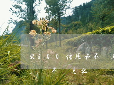 欠500信用卡不還怎么辦(欠信用卡500塊錢不還怎么辦)