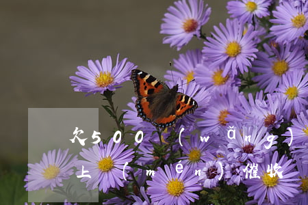 欠500網(wǎng)貸會(huì)被上門(mén)催收嗎(網(wǎng)貸逾期10000多催收人員真的會(huì)上門(mén)怎么辦)