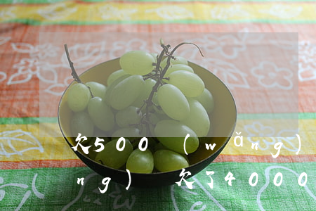 欠500網(wǎng)貸還不上(網(wǎng)貸欠了40000還不上怎么辦)
