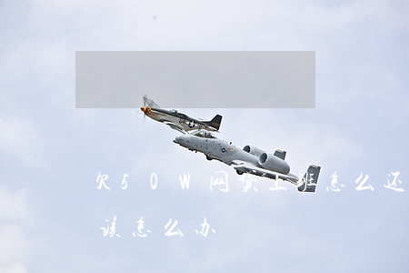 欠50W网贷上班怎么还(欠了网贷50万我该怎么办)