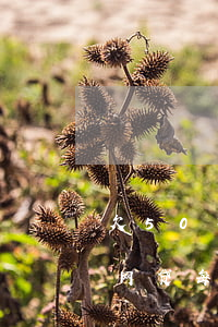 欠50万网贷每个月收入一万多-欠50万网贷每个月收入一万多正常吗