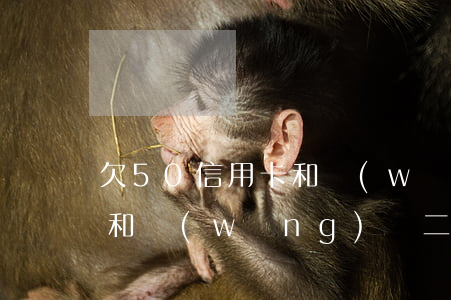 欠50信用卡和網(wǎng)貸(欠信用卡和網(wǎng)貸二十萬怎么辦)