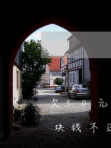 欠50元花呗6个月没还怎么办(花呗欠50块钱不还会怎么样)