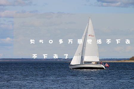 欠50多万感觉活不下去了-欠债50万活不下去了