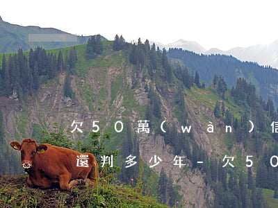 欠50萬(wàn)信用卡無(wú)力償還判多少年-欠50萬(wàn)信用卡無(wú)力償還判多少年呢