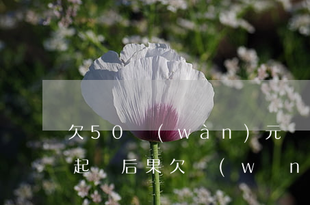 欠50萬(wàn)元網(wǎng)貸被起訴后果(欠網(wǎng)貸十多萬(wàn)會(huì)被起訴嗎)