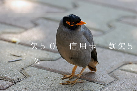 欠50萬信用卡貸款(欠50萬信用卡貸款怎么辦)