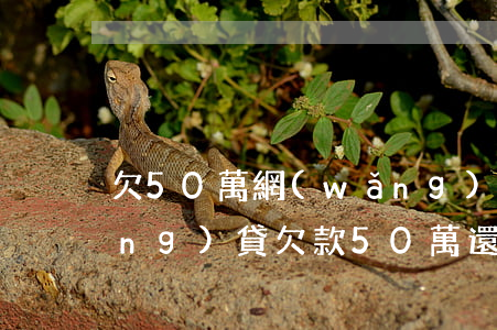 欠50萬網(wǎng)貸逾期了(網(wǎng)貸欠款50萬還不上)