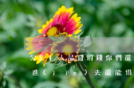 欠51人品貸的錢你們還了嗎(51人品貸還進(jìn)去還能借嗎)
