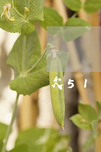 欠51人品贷怎么办(51人品贷己强制)