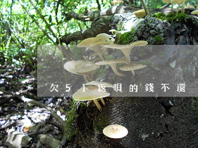 欠51返唄的錢不還