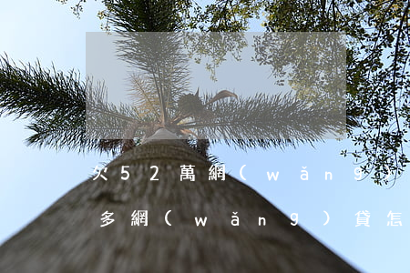 欠52萬網(wǎng)貸怎么辦(欠了5萬多網(wǎng)貸怎么辦)