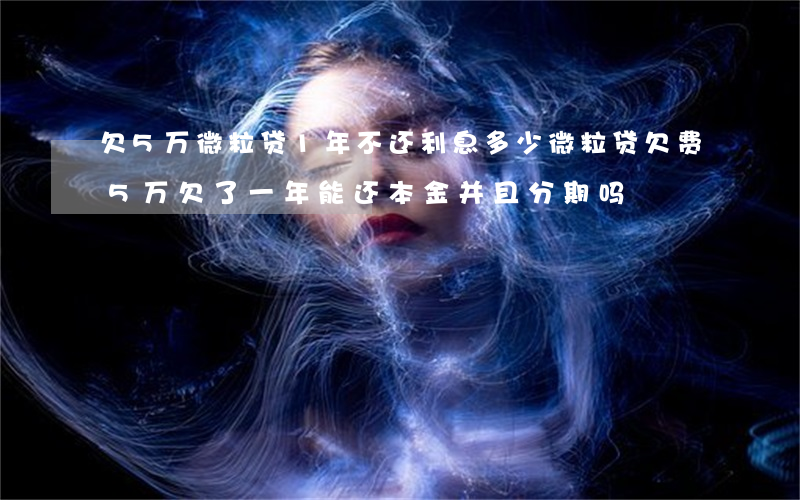 欠5万微粒贷1年不还利息多少(微粒贷欠费5万,欠了一年,能还本金并且分期吗)