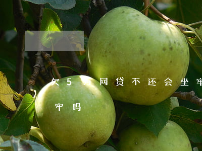 欠5万网贷不还会坐牢吗(欠网贷两万多会坐牢吗)